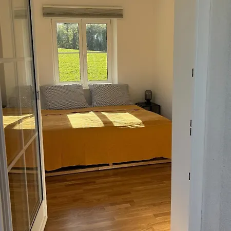 Panorama Haus Am Traunsee Ferienhaus Traunkirchen